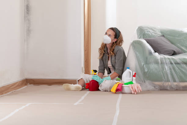 Reliable Mold Testing contractor in Nanjemoy, MD by WQB Mold Removal